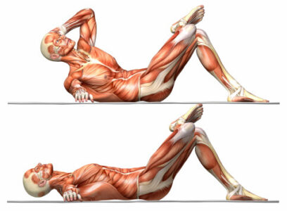 Anatomy of a Sit Up to lose belly fat